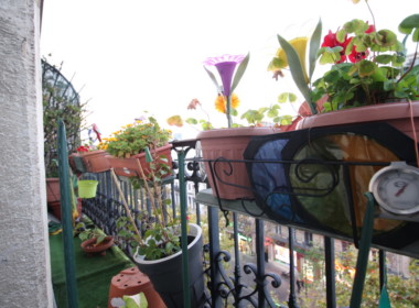 BACD923A-EACC-4DE3-B6C2-E59691EC549C_1_105_c